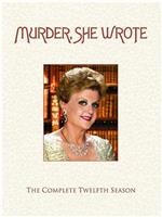 女作家与谋杀案 第十二季