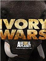 ivory wars