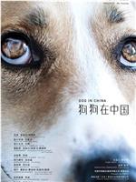 狗狗在中国在线观看