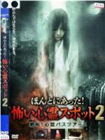 ほんとにあった！怖い心霊スポット 2 絶叫!心霊バスツアー!!