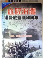 血腥海滩-诺曼底登陆60周年在线观看