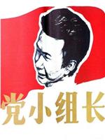 党小组长在线观看