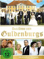 Das Erbe der Guldenburgs