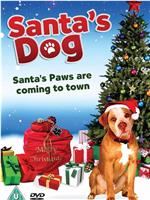 Santa's Dog