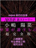 AKB48背后的故事特别篇 小嶋阳菜毕业遗留之物在线观看