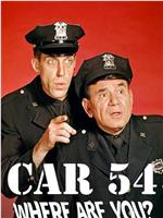 Car 54, Where Are You?