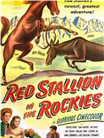 Red Stallion in the Rockies在线观看