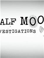 Half Moon Investigations在线观看