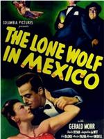 孤狼在墨西哥在线观看