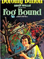 Fog Bound