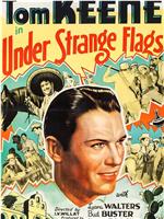 Under Strange Flags在线观看