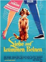 Liebe auf krummen Beinen在线观看