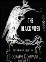 The Black Viper