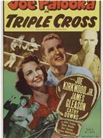 Joe Palooka in Triple Cross