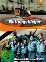 Die Rettungsflieger