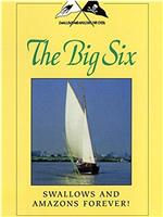 Swallows and Amazons Forever!: The Big Six