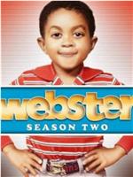 Webster