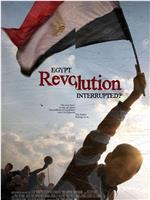解放广场：埃及未完成革命的18天