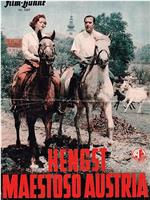 Hengst Maestoso Austria在线观看