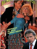 Wild Texas Wind在线观看