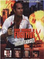 Fugitive X: Innocent Target在线观看