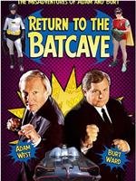 Return to the Batcave: The Misadventures of Adam and Burt在线观看