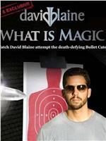 David Blaine: What Is Magic?