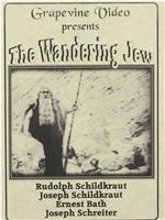 Theodor Herzl, der Bannerträger des jüdischen Volkes在线观看