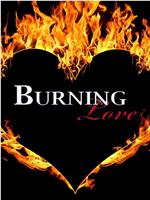 Burning Love 第三季在线观看