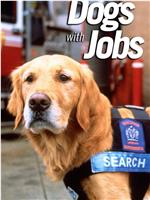 Dogs with Jobs在线观看