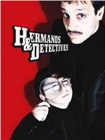 Hermanos y detectives在线观看