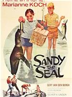 Sandy the Seal