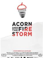 Acorn and the Firestorm在线观看