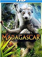 马达加斯加 3D在线观看