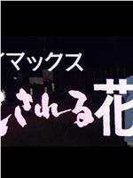 クライマックス 犯される花嫁在线观看