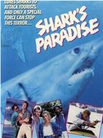 Shark's Paradise