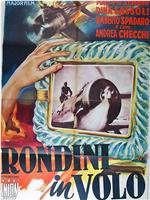 Rondini in volo