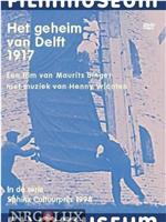 Het geheim van Delft在线观看