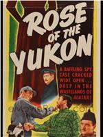 Rose of the Yukon