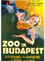布达佩斯动物园在线观看