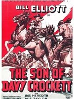 The Son of Davy Crockett在线观看