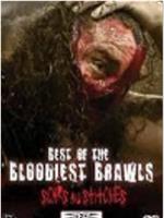 TNA Wrestling: Best of the Bloodiest Brawls - Scars and Stitches