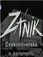天鹅绒式离婚：议会中的捷克斯洛伐克落幕时在线观看