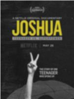 Joshua: A Nigerian Portrait