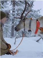 Reindeer Family & Me在线观看