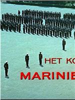 荷兰皇家海军陆战队在线观看