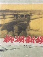 柳湖新颂在线观看