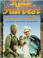 American Harvest