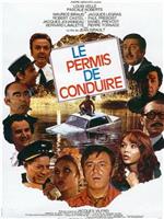 Le permis de conduire在线观看