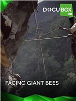 Facing the Giant Bees在线观看